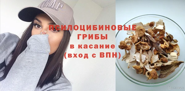ГАЛЛЮЦИНОГЕННЫЕ ГРИБЫ Армянск