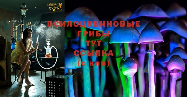 амф Аркадак